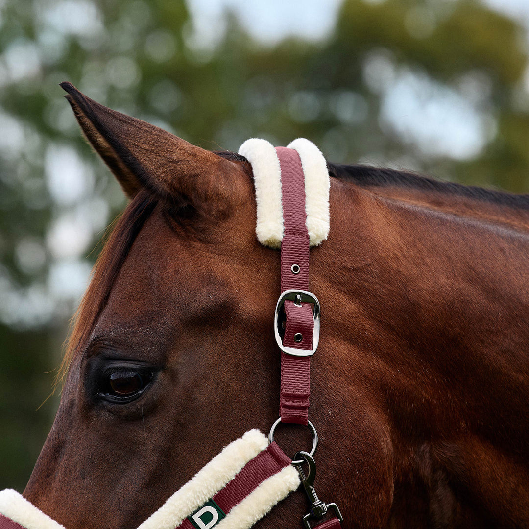 Dublin Soft Fit Headcollar