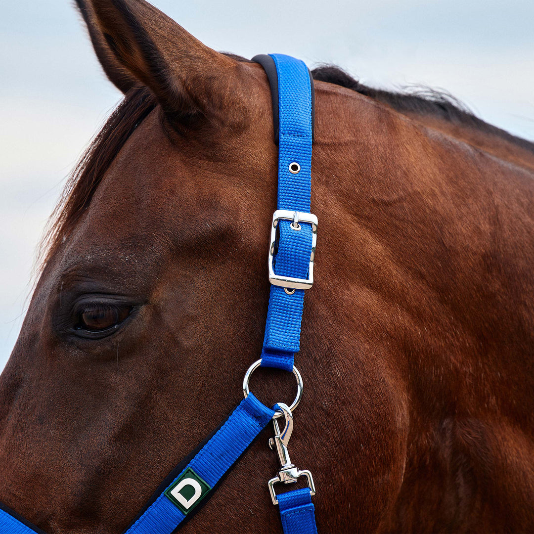 Dublin Neo Comfort Headcollar