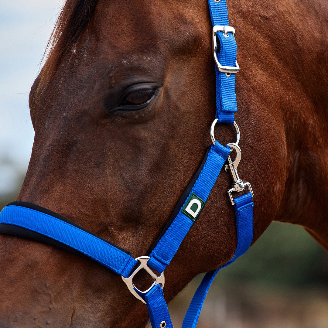 Dublin Neo Comfort Headcollar