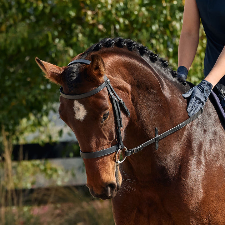 Dublin Flat Cavesson Bridle