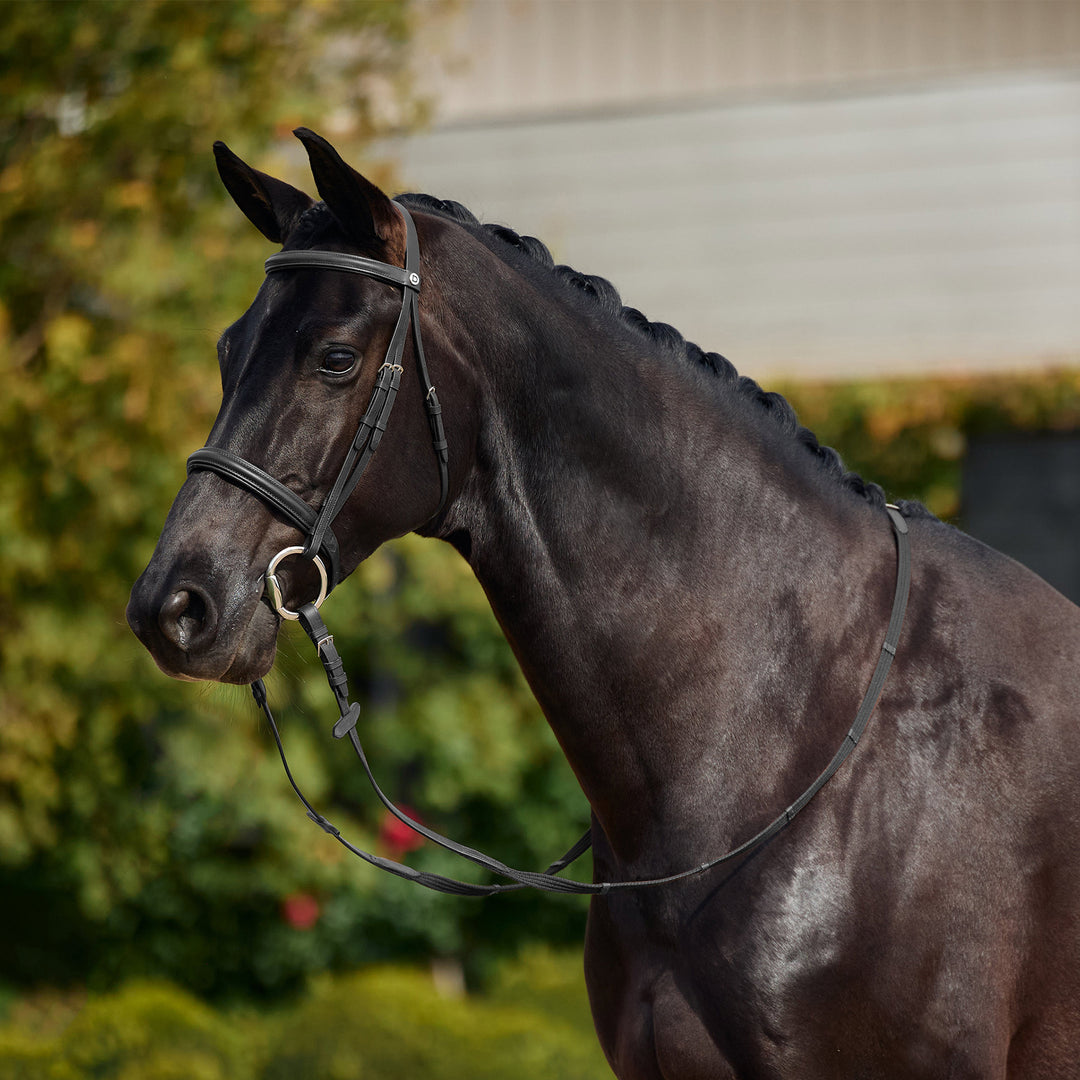 Dublin Padded Cavesson Bridle