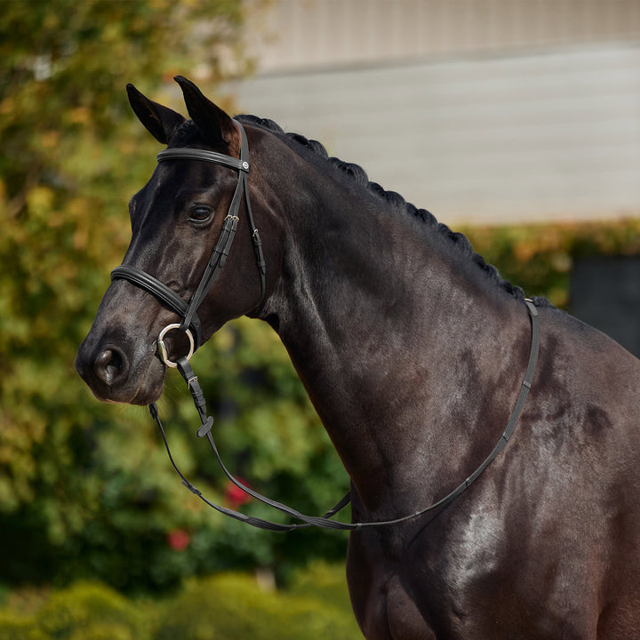 Dublin Padded Cavesson Bridle