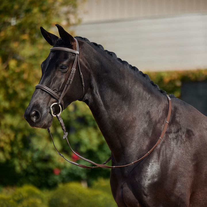 Dublin Padded Cavesson Bridle