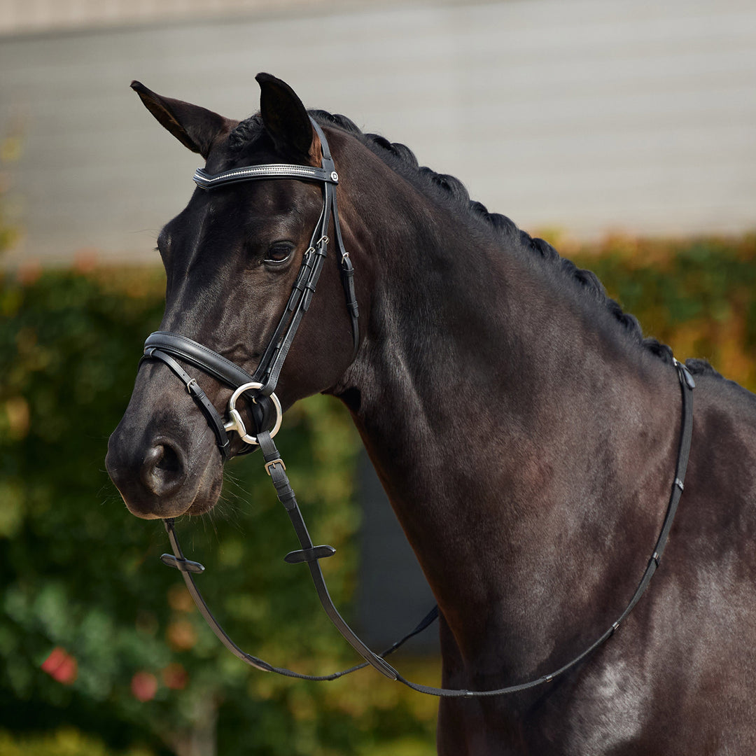 Dublin Crystal Flash Bridle
