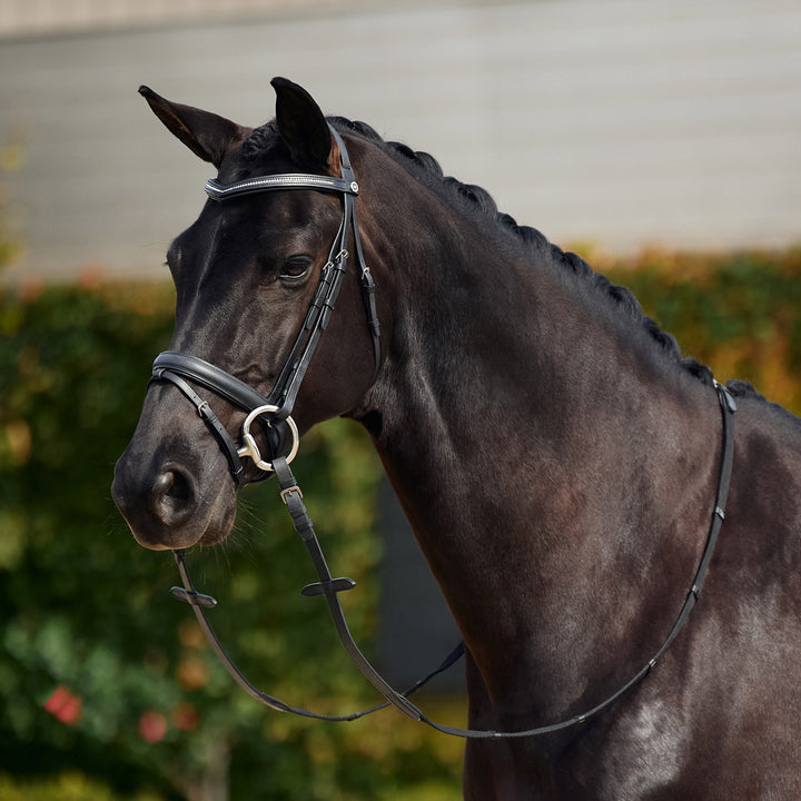 Dublin Crystal Flash Bridle