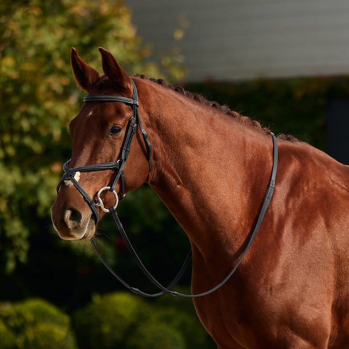 Dublin Padded Fancy Stitch Grackle Bridle