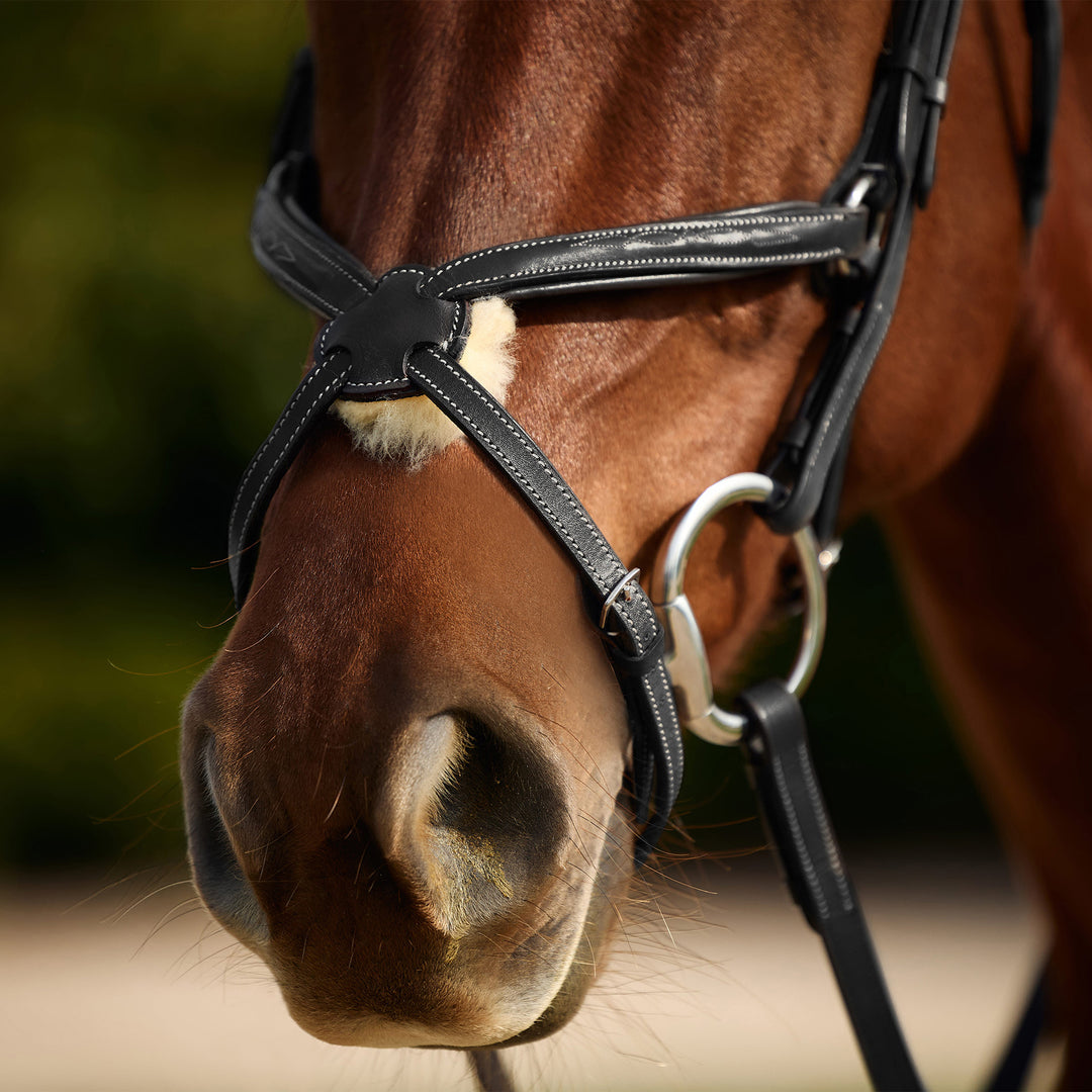 Dublin Padded Fancy Stitch Grackle Bridle