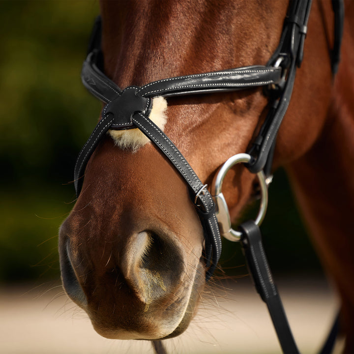 Dublin Padded Fancy Stitch Grackle Bridle