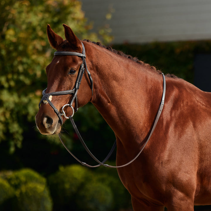 Dublin Padded Fancy Stitch Grackle Bridle