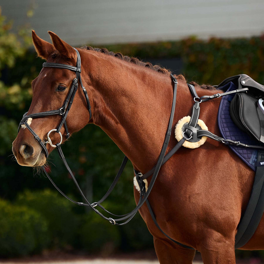 Dublin 5 Point Event Breastplate