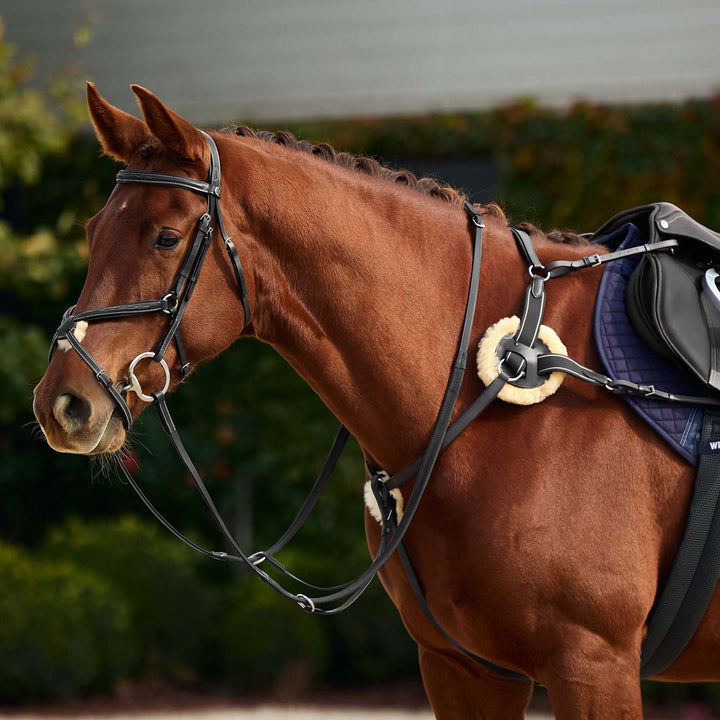 Dublin 5 Point Event Breastplate