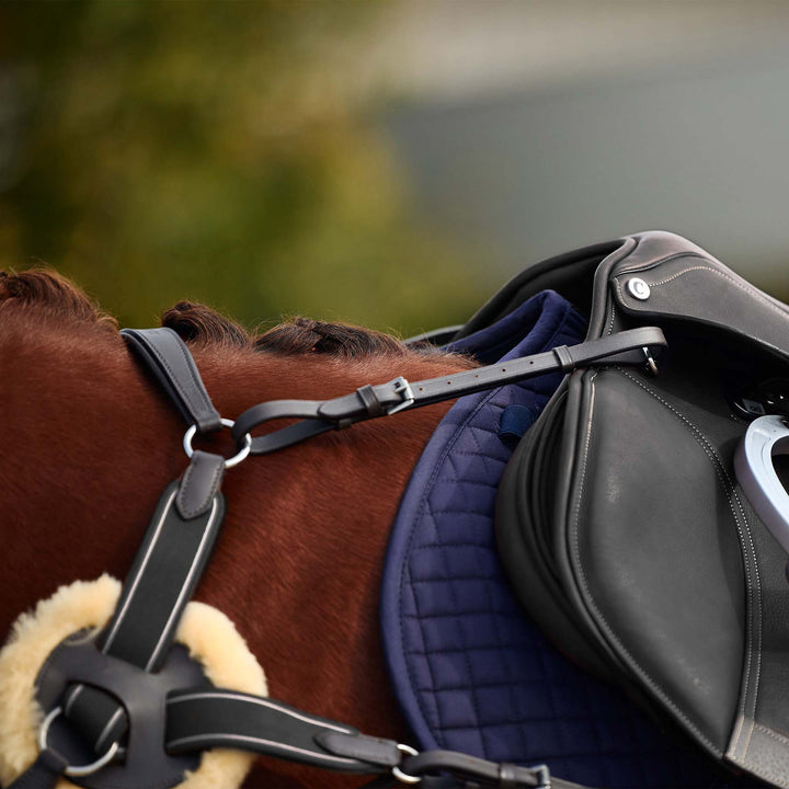 Dublin 5 Point Event Breastplate