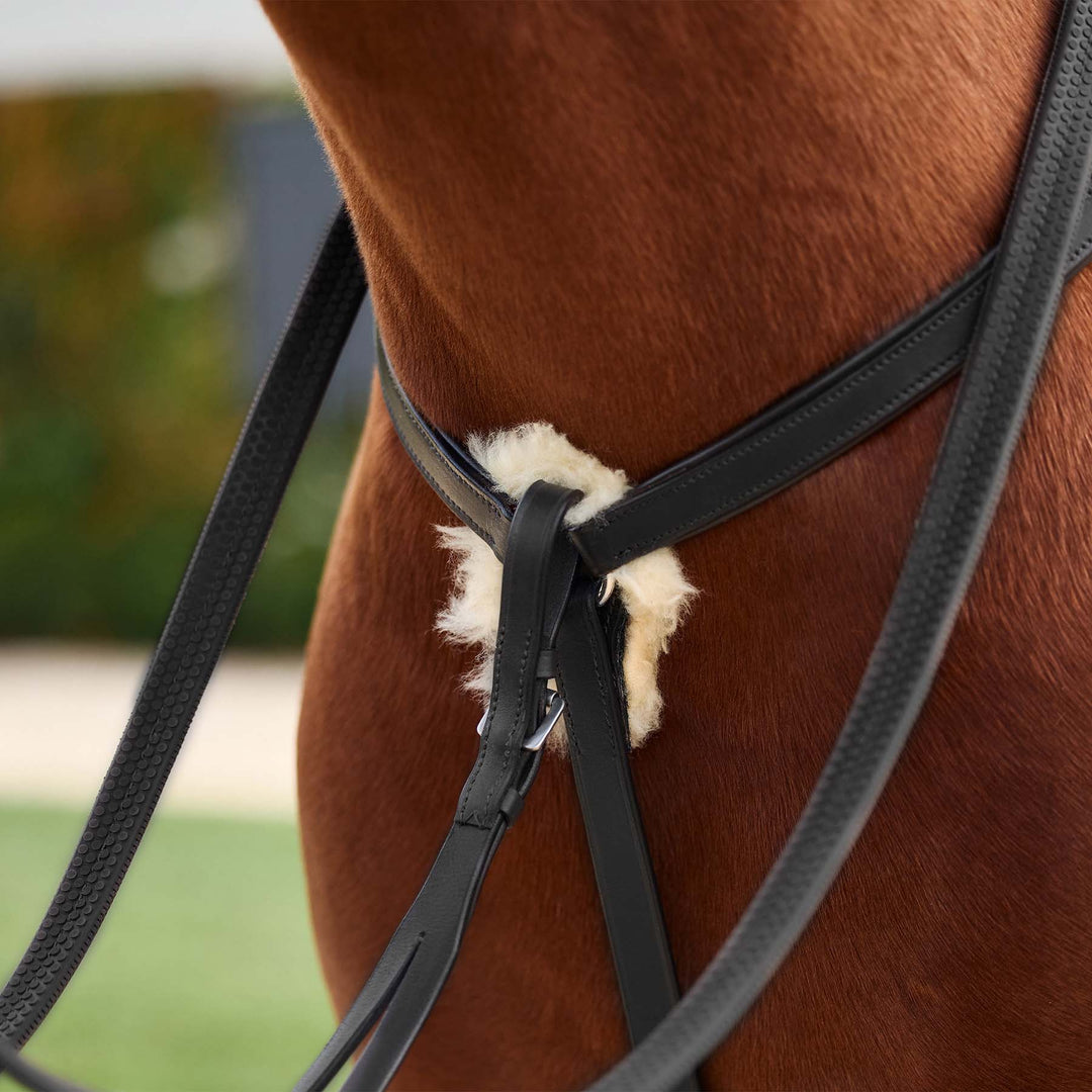 Dublin 5 Point Event Breastplate