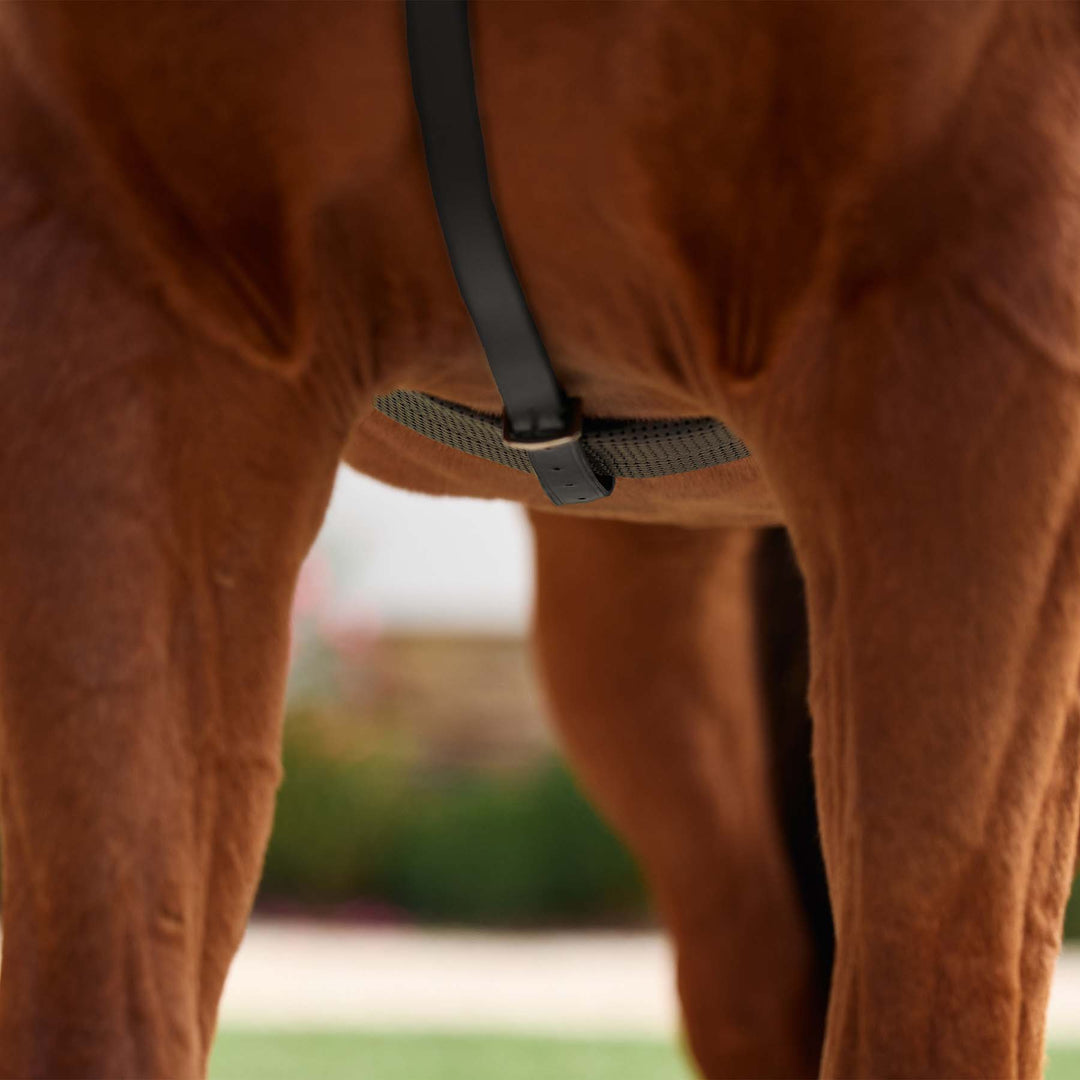 Dublin 5 Point Event Breastplate