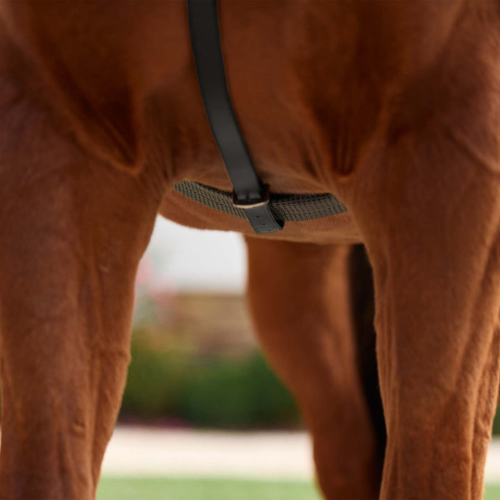 Dublin 5 Point Event Breastplate