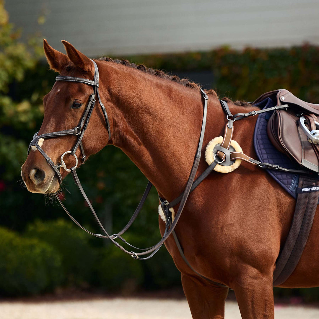 Dublin 5 Point Event Breastplate