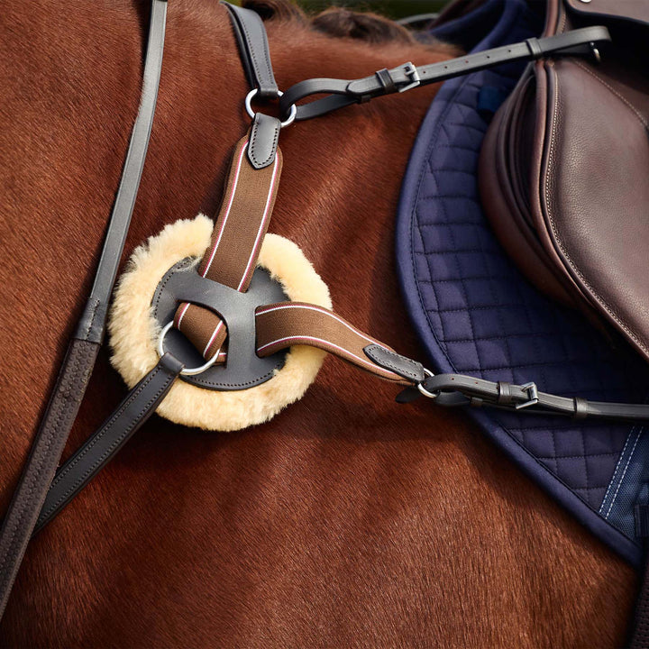 Dublin 5 Point Event Breastplate