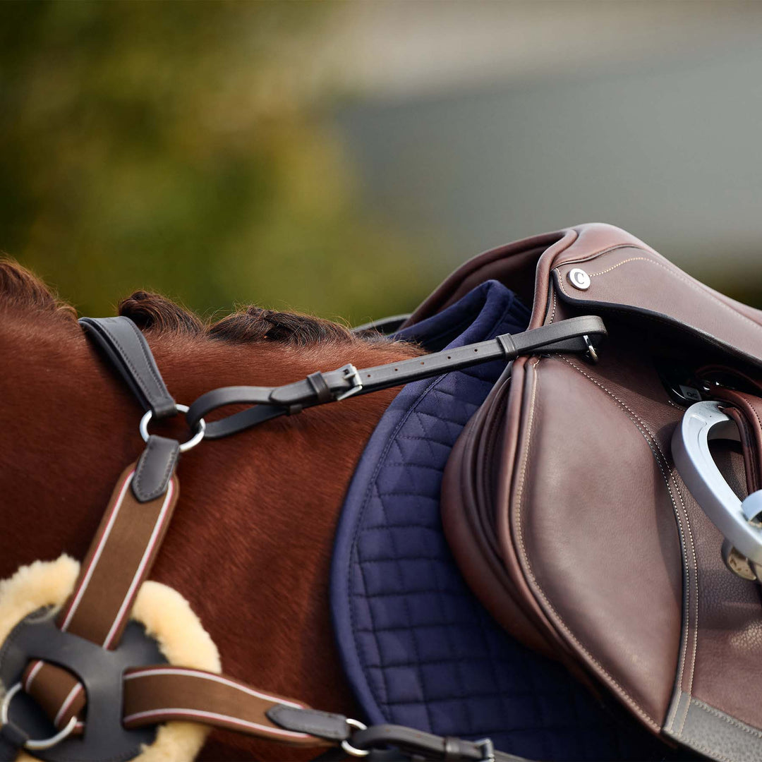 Dublin 5 Point Event Breastplate