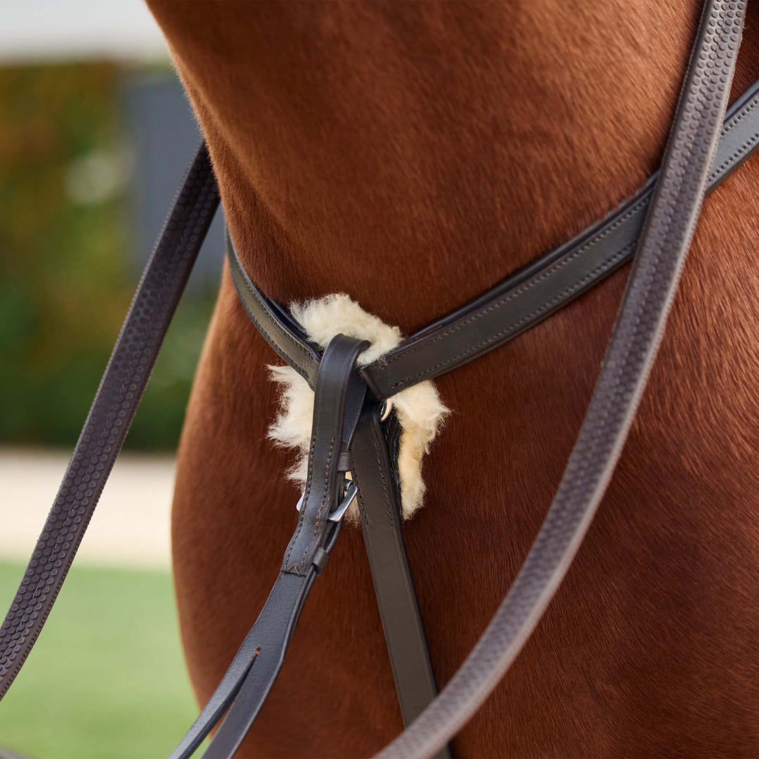 Dublin 5 Point Event Breastplate