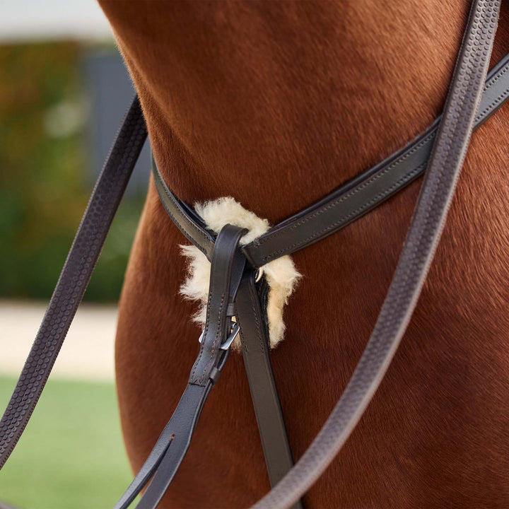 Dublin 5 Point Event Breastplate