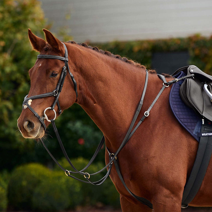 Dublin 3 Point Breastplate