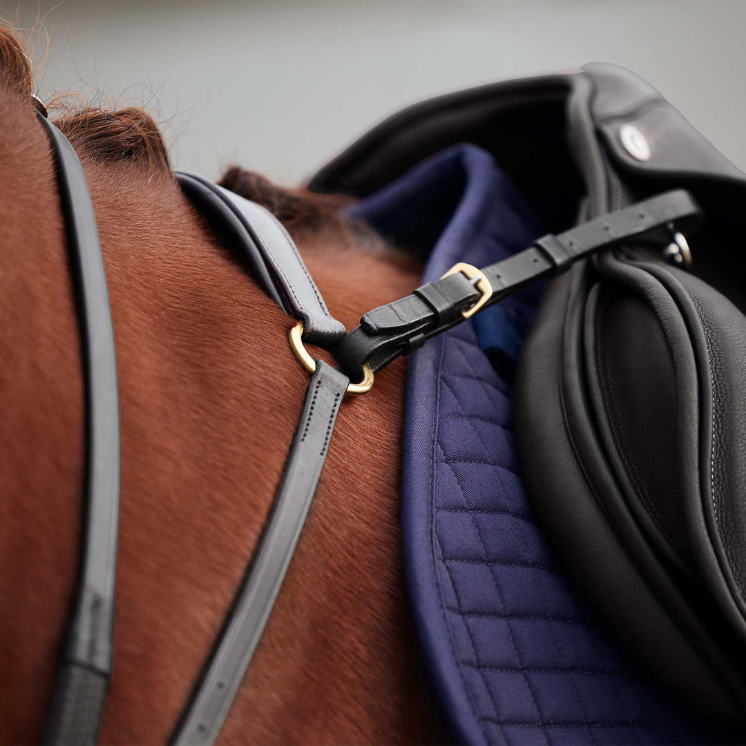 Dublin 3 Point Breastplate