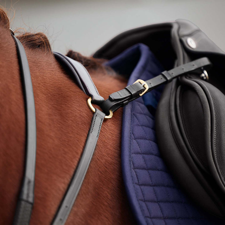 Dublin 3 Point Breastplate