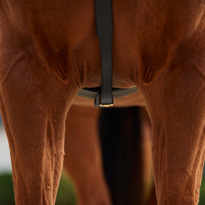 Dublin 3 Point Breastplate