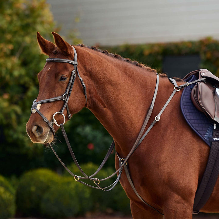 Dublin 3 Point Breastplate