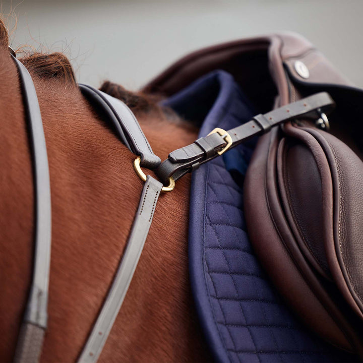 Dublin 3 Point Breastplate