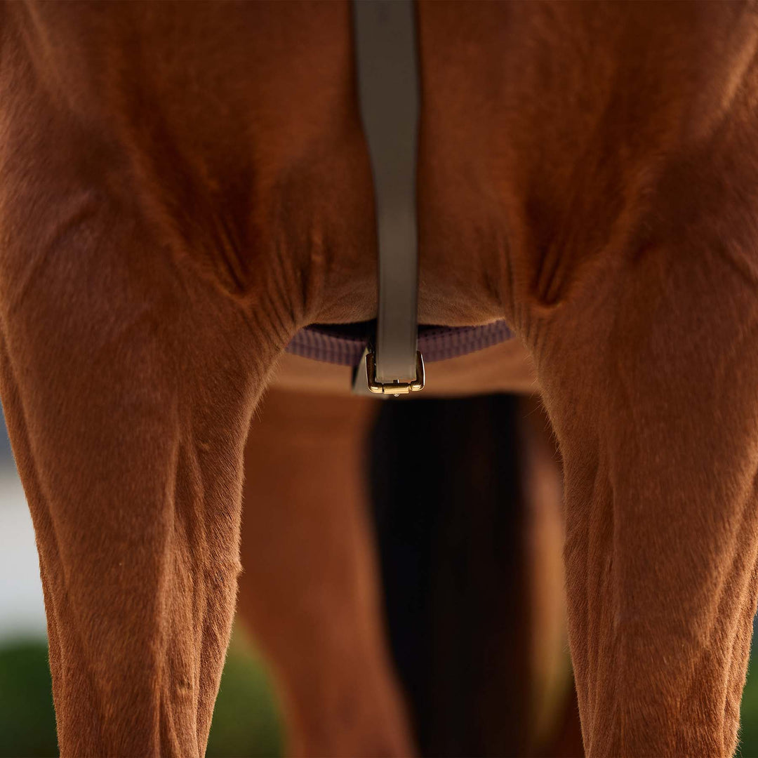 Dublin 3 Point Breastplate