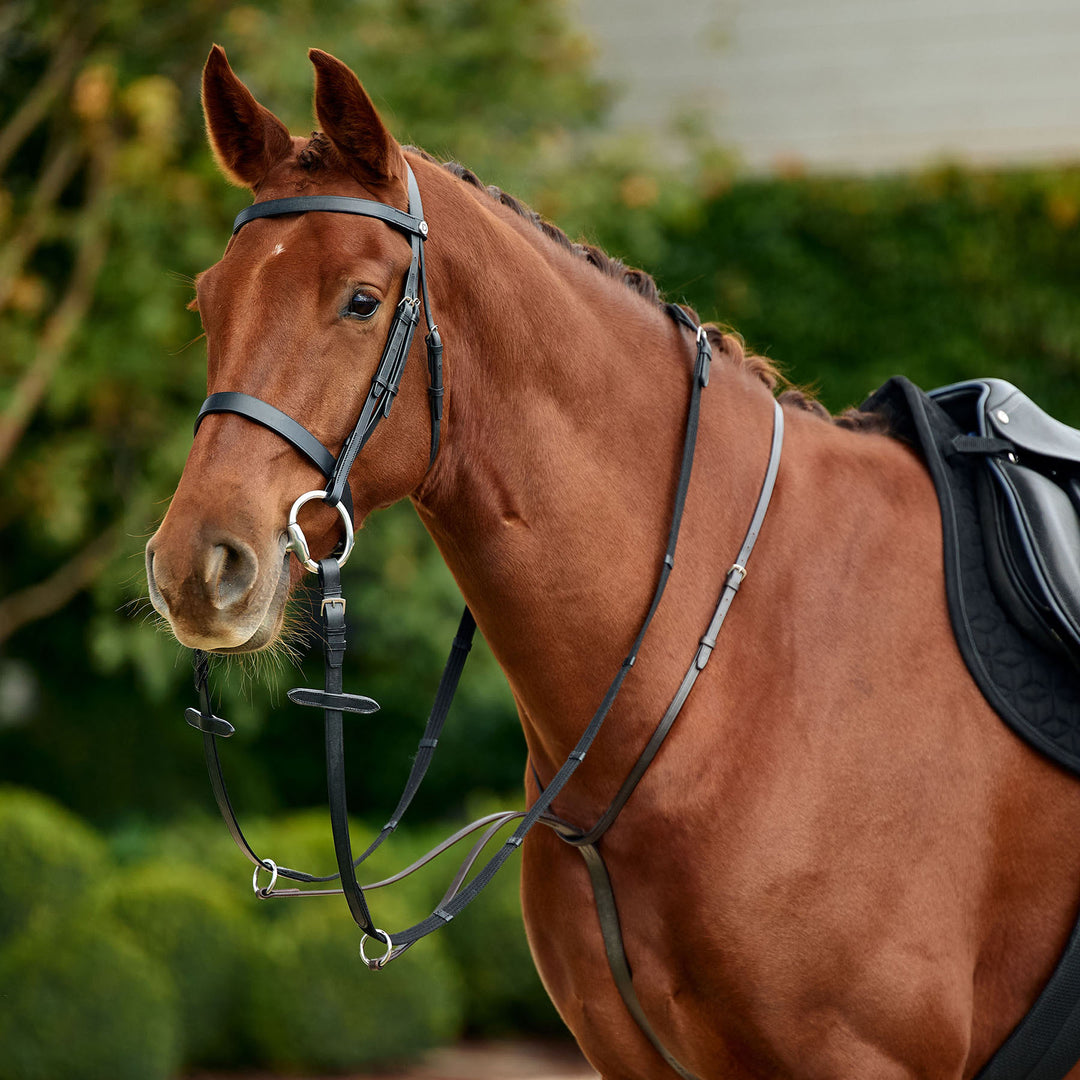 Dublin Running Martingale