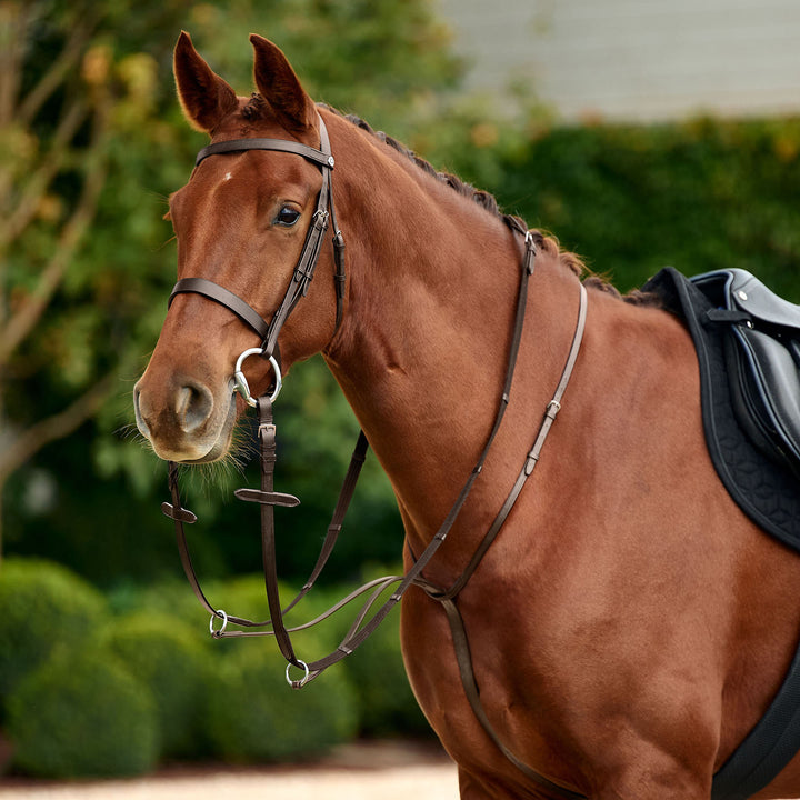 Dublin Running Martingale