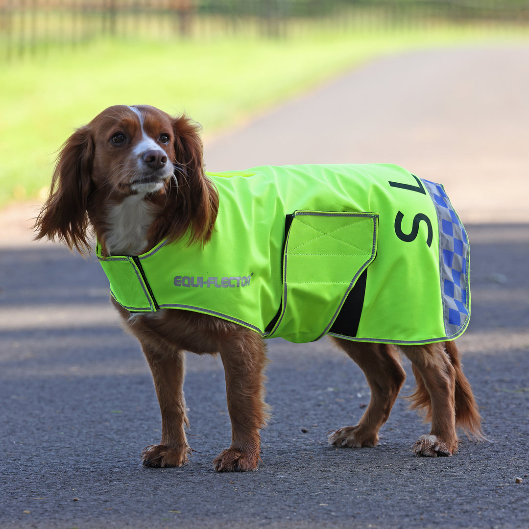 Equi-Flector Mesh Dog Coat