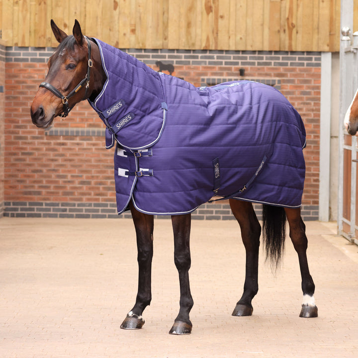 Shires Tempest Original 100g Combo Stable Rug