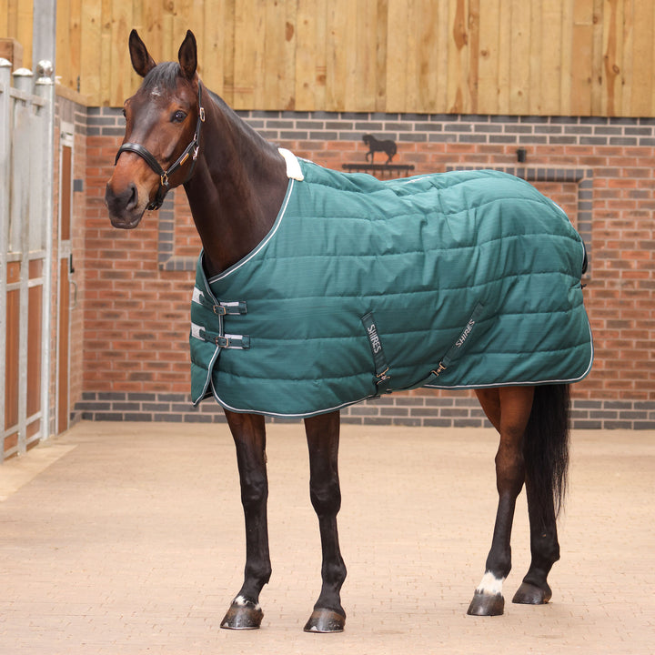 Shires Tempest Original 200g Stable Rug