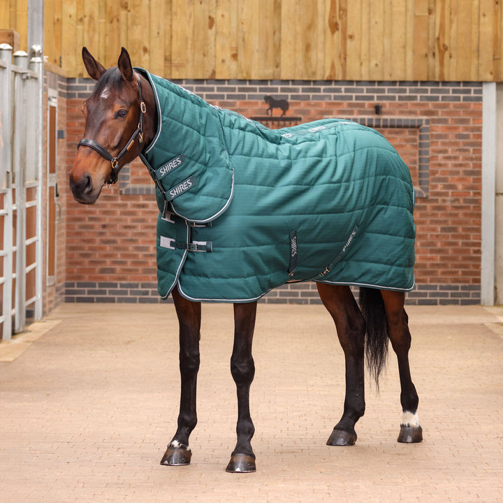 Shires Tempest Original 200g Combo Stable Rug