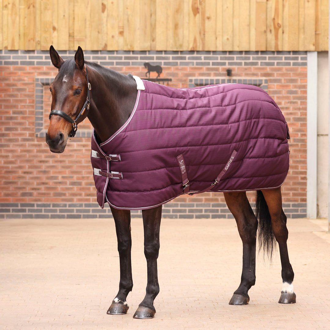 Shires Tempest Original 300g Standard Stable Rug