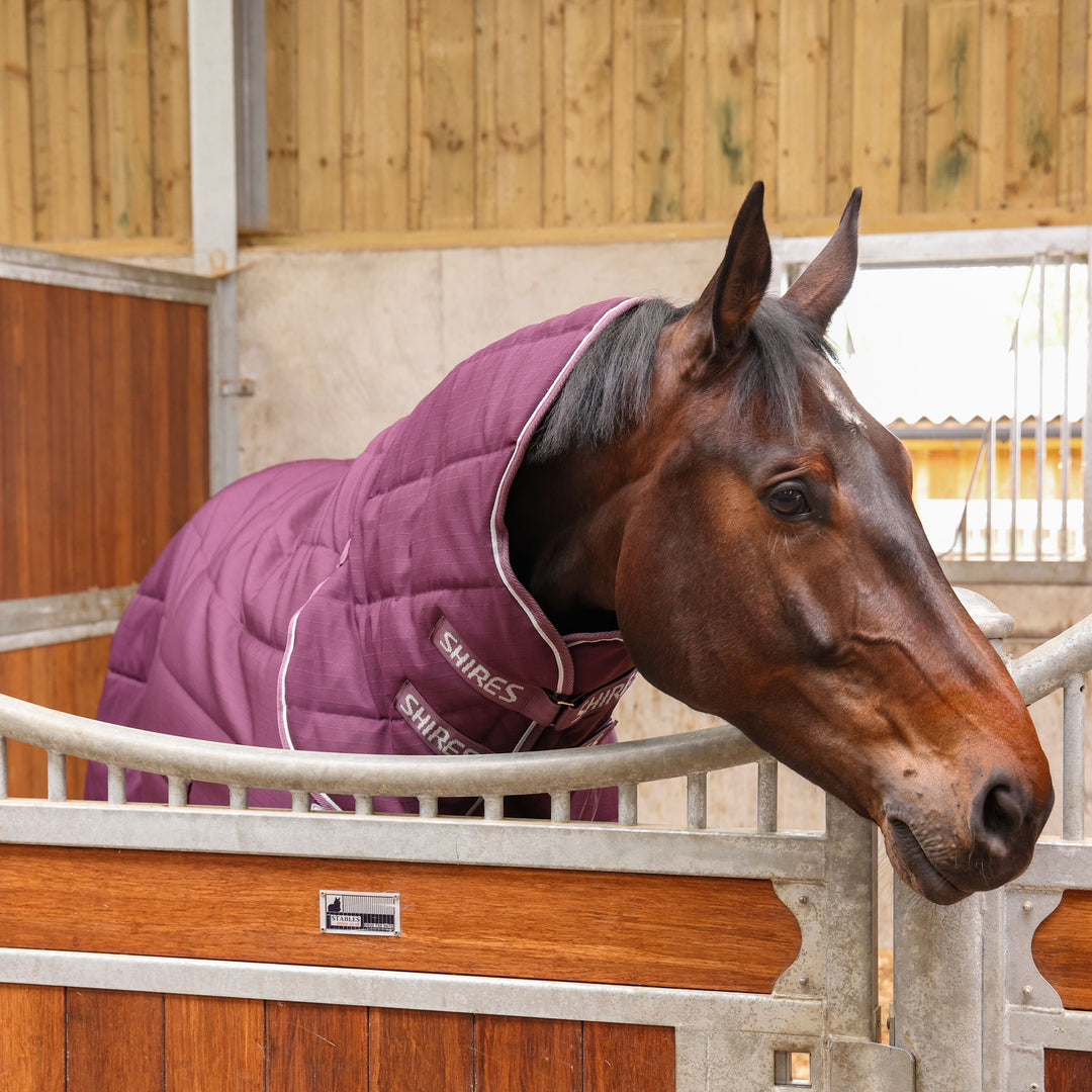 Shires Tempest Original 300g Combo Stable Rug