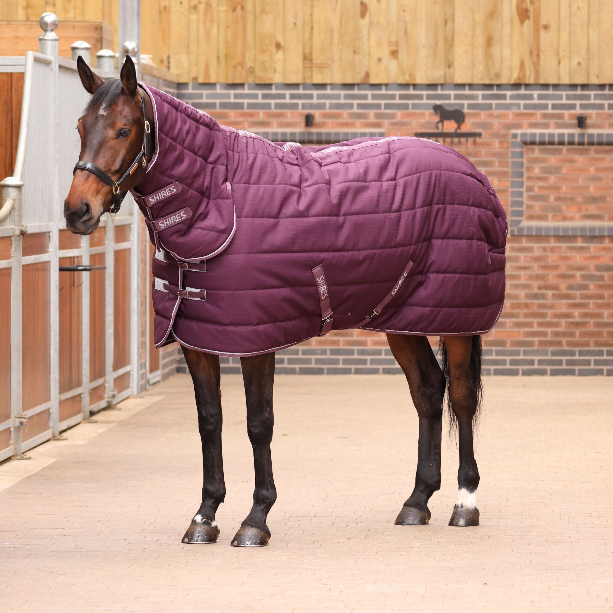 Shires Tempest Original 300g Combo Stable Rug | Millbry Hill