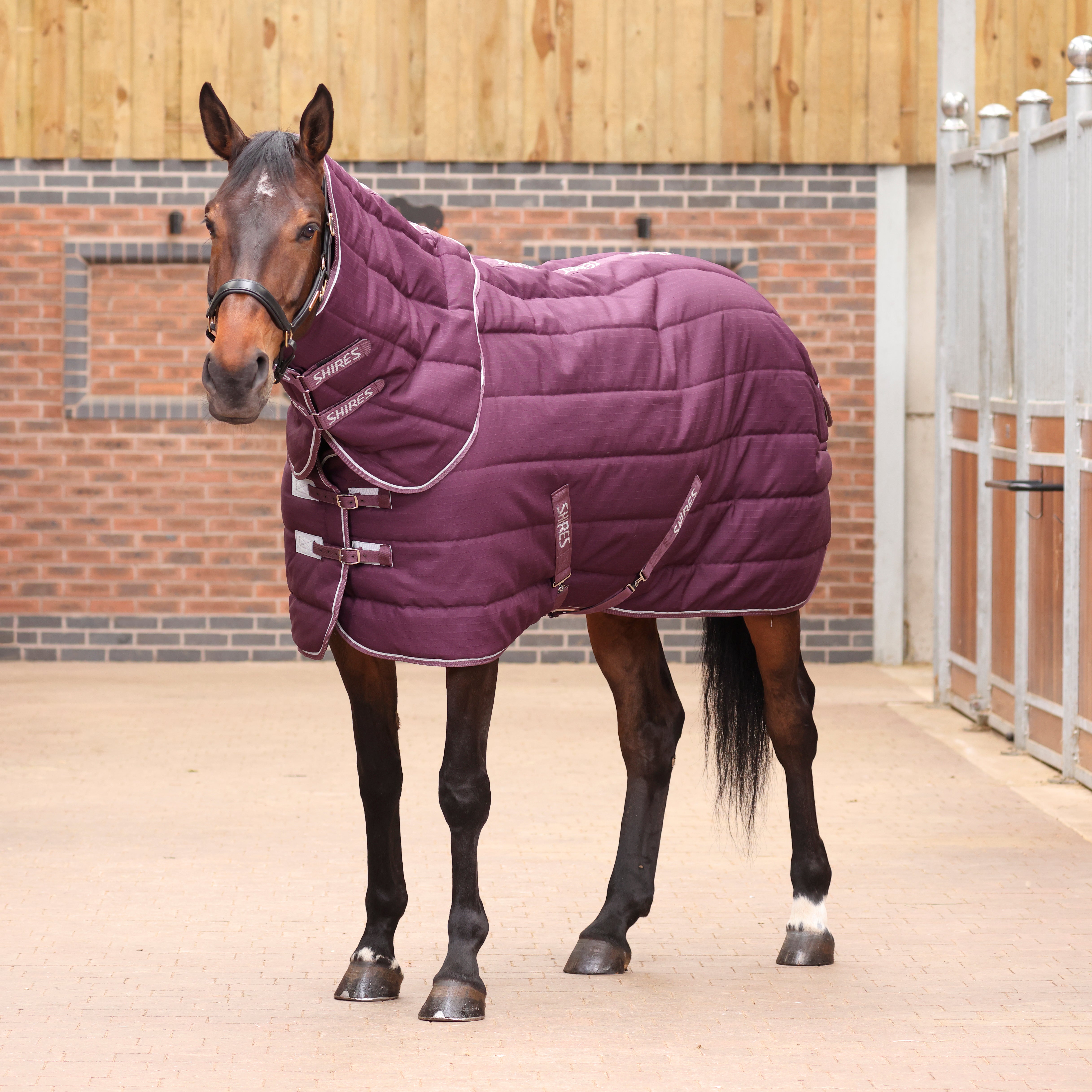 Shires Tempest Original 300 Stable Rug & Neck | Millbry Hill