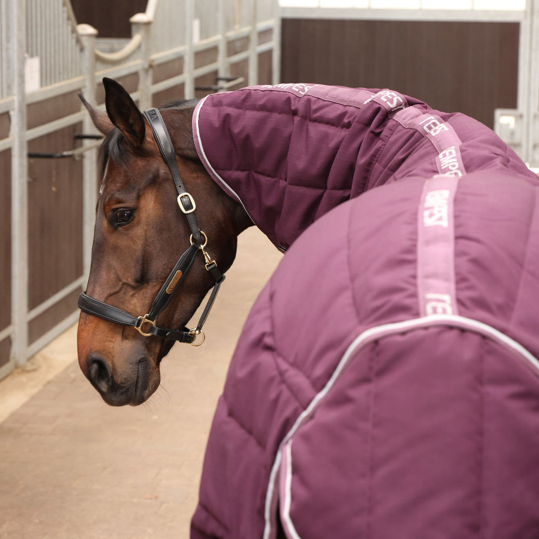 Shires Tempest Original 300g Stable Rug & Neck