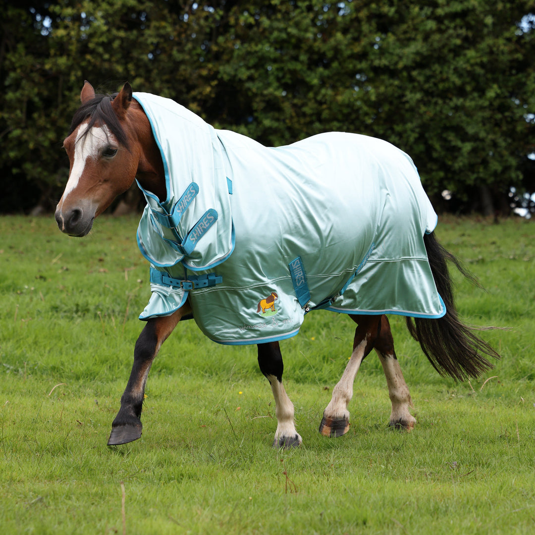 Winnie & Me Fly Rug