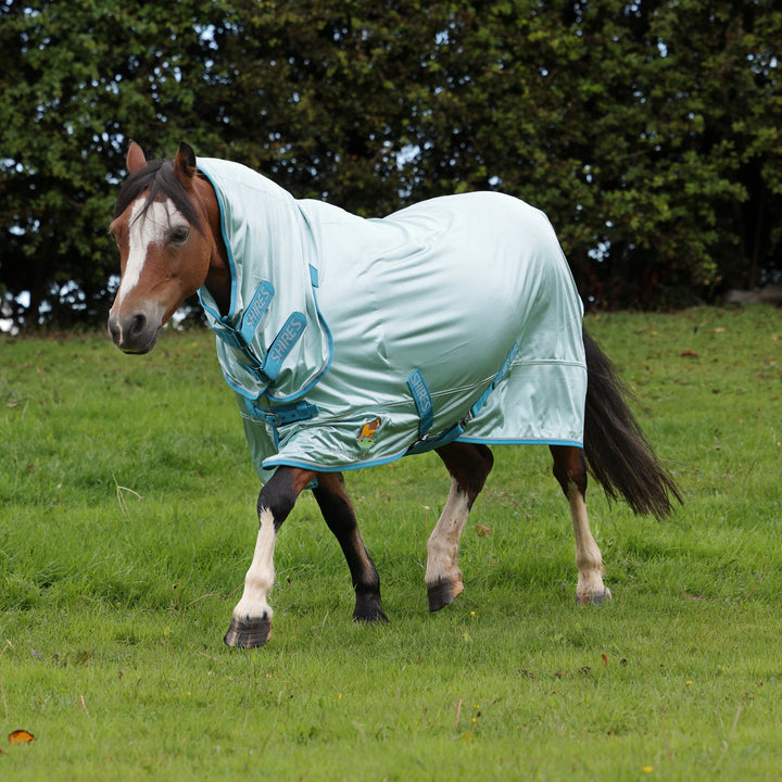 Winnie & Me Fly Rug