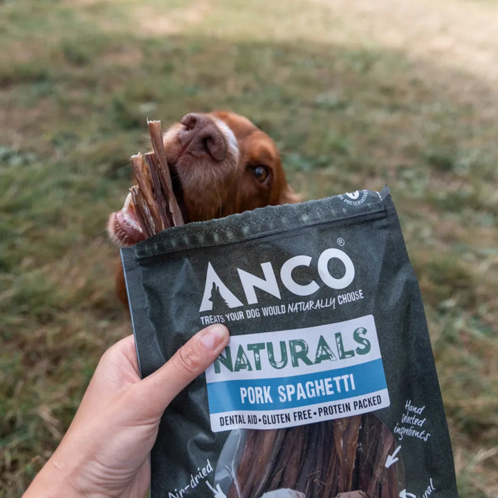 Anco Naturals Pork Spaghetti