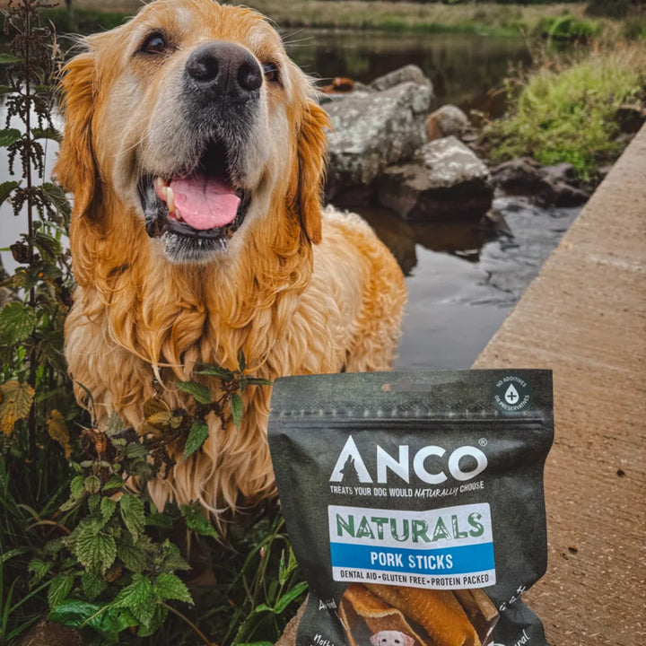 Anco Naturals Pork Sticks