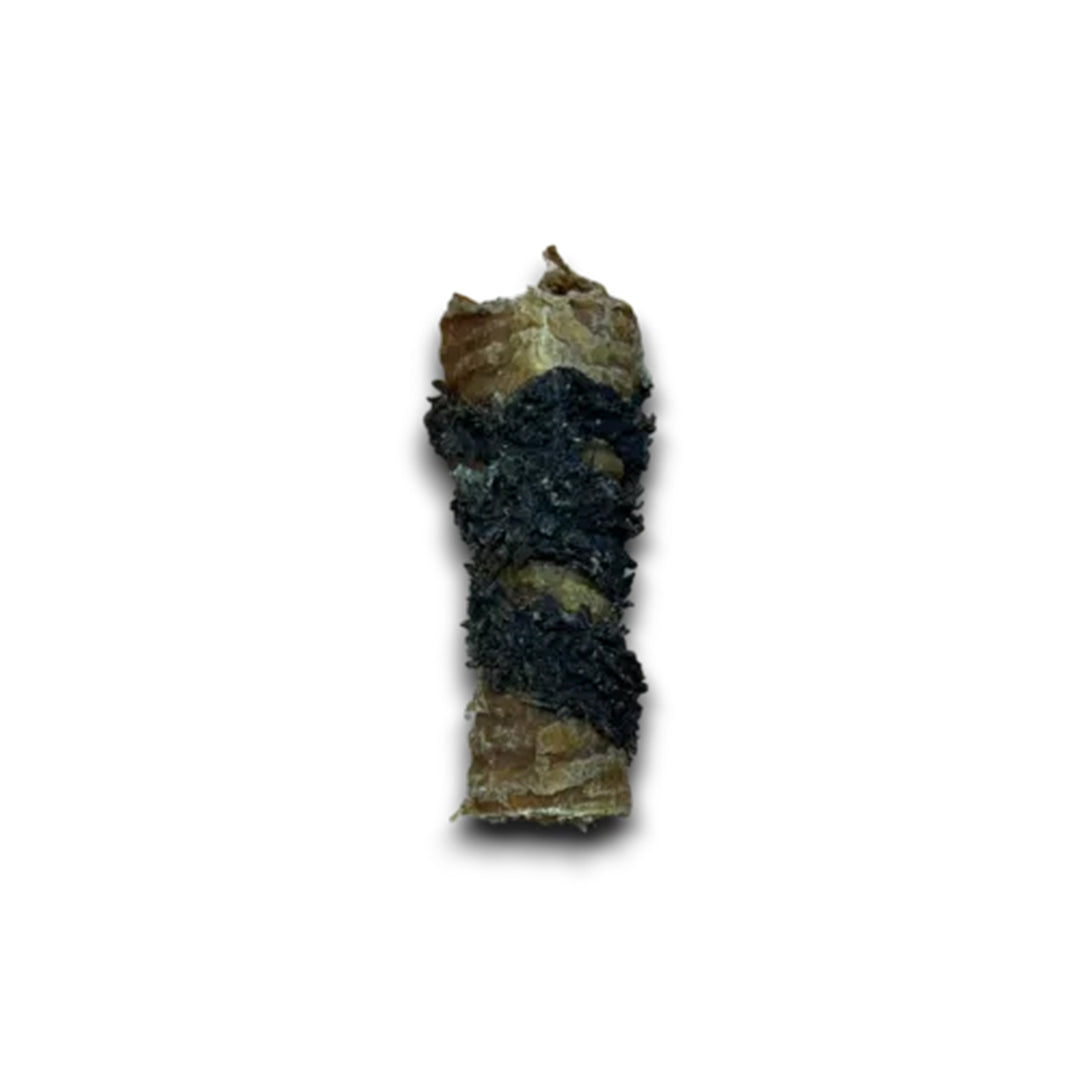 Anco Naturals Tripe Wrapped Bully Tube