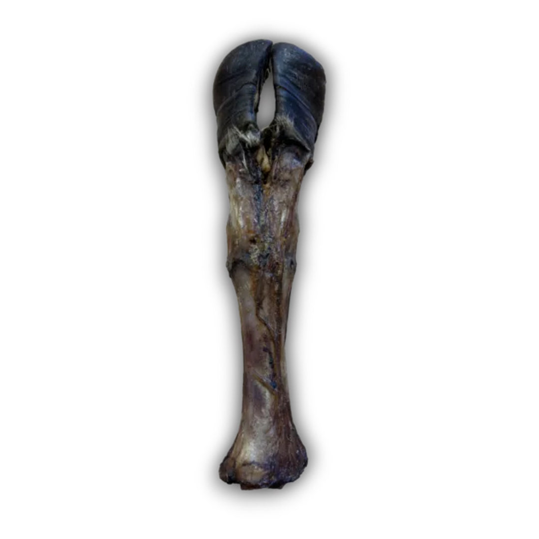 Anco Naturals Giant Cow Leg