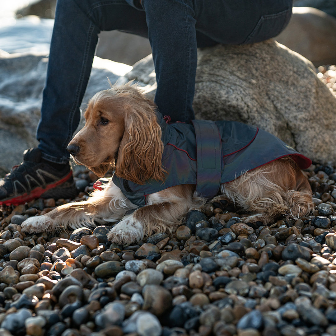 Great&Small Active Reflective Rainbow Raincoat