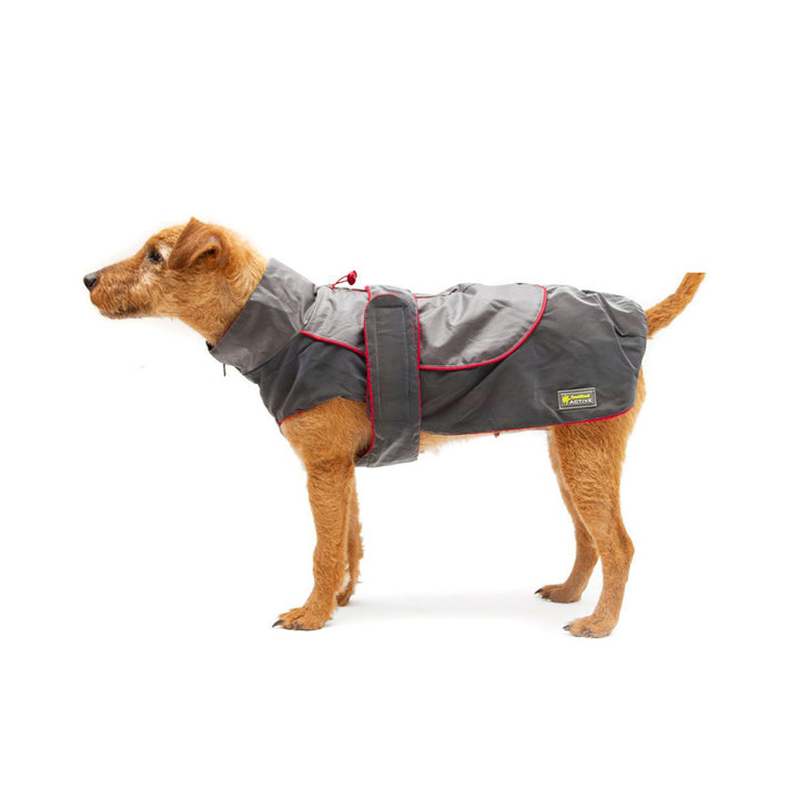 Great&Small Active Reflective Rainbow Raincoat